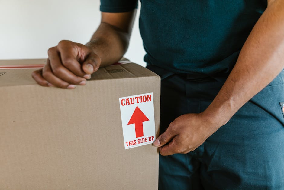 Two professional movers from Movers South Kensington are inside a well-lit room with white walls and large, arched windows that allow natural daylight to illuminate the space. The first mover, a man w